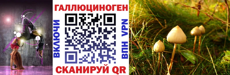 Купить  Городовиковск  Галлюциногенные грибы GOLDEN TEACHER 